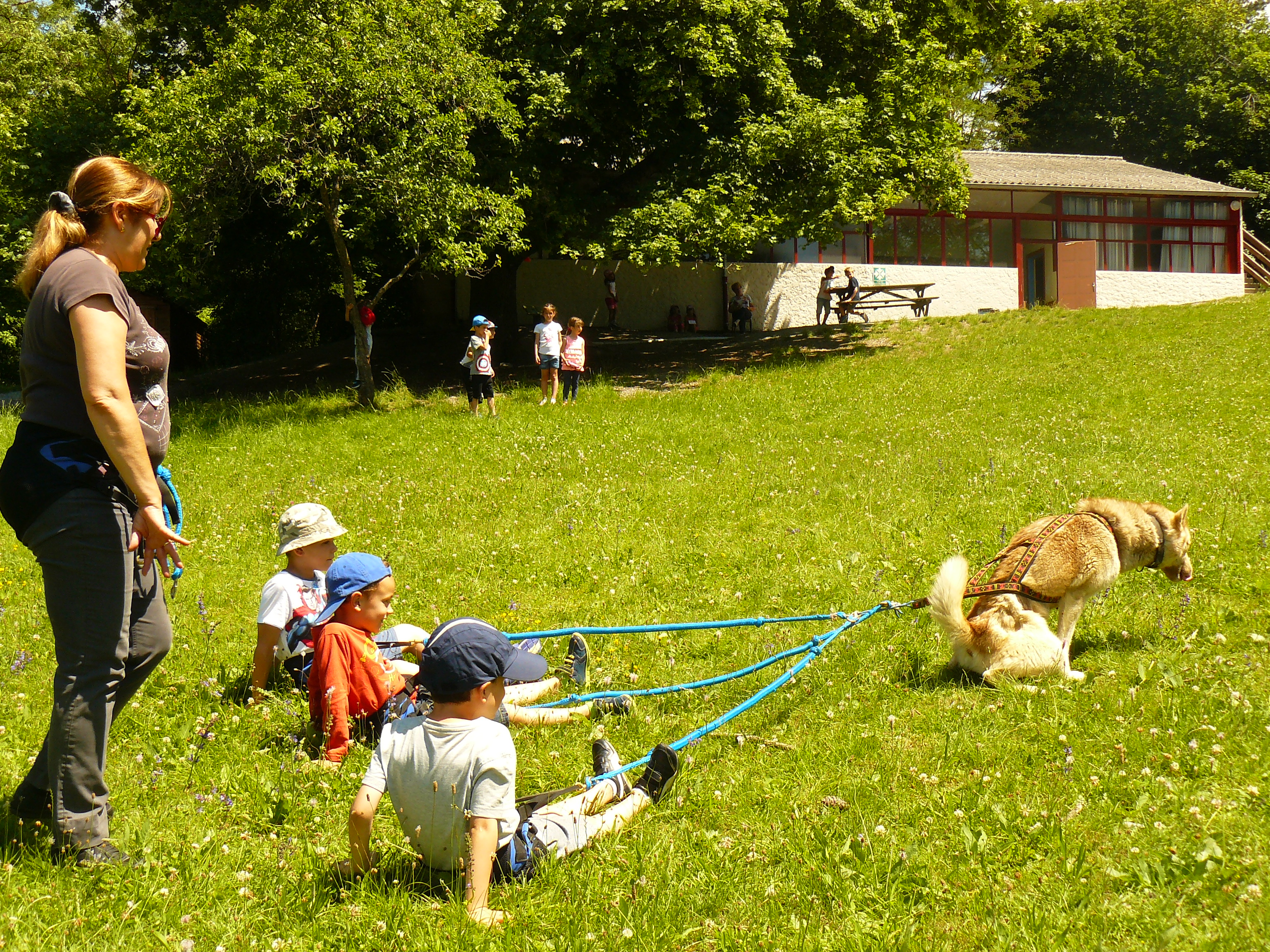activite-cani-rando